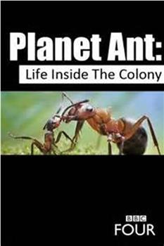 蚂蚁星球在线观看和下载
