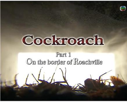 蟑螂世界cockroach在线观看和下载