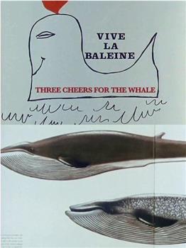 三呼鲸鱼在线观看和下载