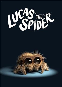 小蜘蛛卢卡斯在线观看和下载