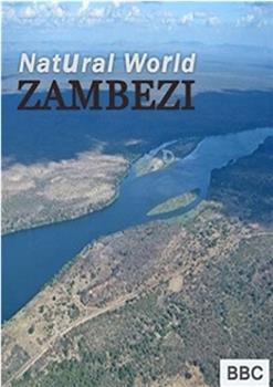自然世界：赞比西河在线观看和下载