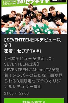 密著！SEVENTEEN TV在线观看和下载