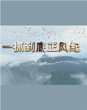 一抓到底正风纪——秦岭违建整治始末在线观看和下载