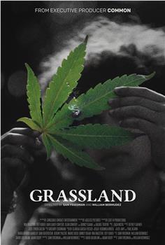 Beneath the Grass在线观看和下载