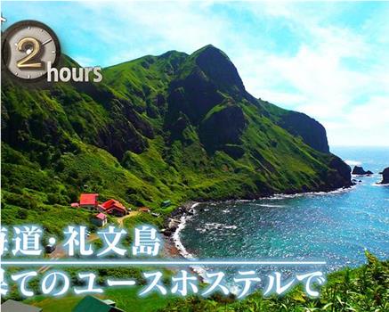 ドキュメント72時間：北海道・礼文島 最果てのユースホステルで在线观看和下载