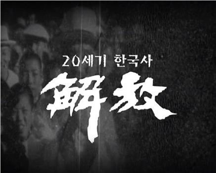 20世纪韩国史：解放在线观看和下载
