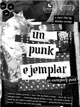 Un punk ejemplar在线观看和下载