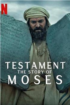 圣约之外：摩西的故事在线观看和下载