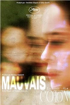 Mauvais coton在线观看和下载