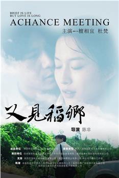 又见稻乡在线观看和下载