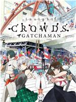 科学小飞侠Crowds insightftp分享