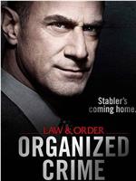 法律与秩序：组织犯罪 第一季