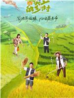 舌尖上的乡村观看