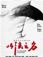 以法之名观看
